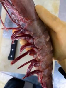 Colossal Black Tiger Prawns photo review