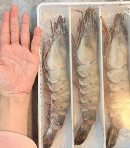 Colossal Black Tiger Prawns photo review