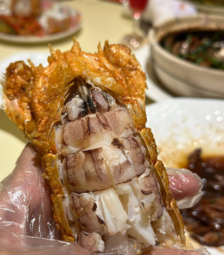 jumbo Mantis Shrimp Live Seafood Shipped with Oxygen Packs photo review