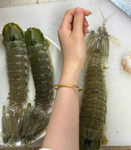jumbo Mantis Shrimp Live Seafood Shipped with Oxygen Packs photo review