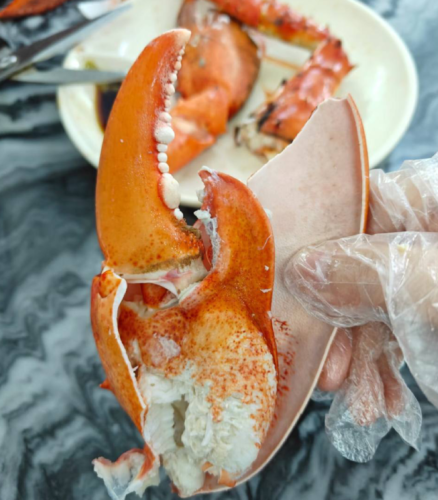 LIMITED EDITION: Giant Deep-Sea Lobster Pincers 🔥 Hurry up! photo review