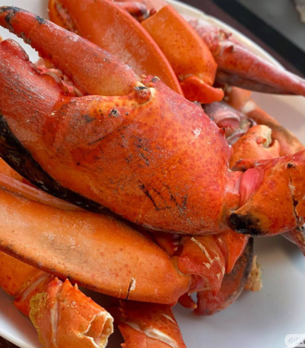 lobster pincers photo review