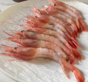 Top-grade Sashimi Seafood, Arctic Sweet Shrimp photo review